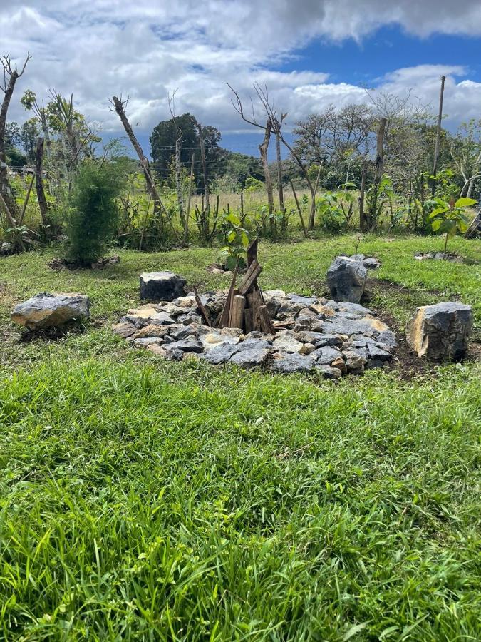 Glamping Campo Alegre Ξενοδοχείο Καρτάγο Εξωτερικό φωτογραφία